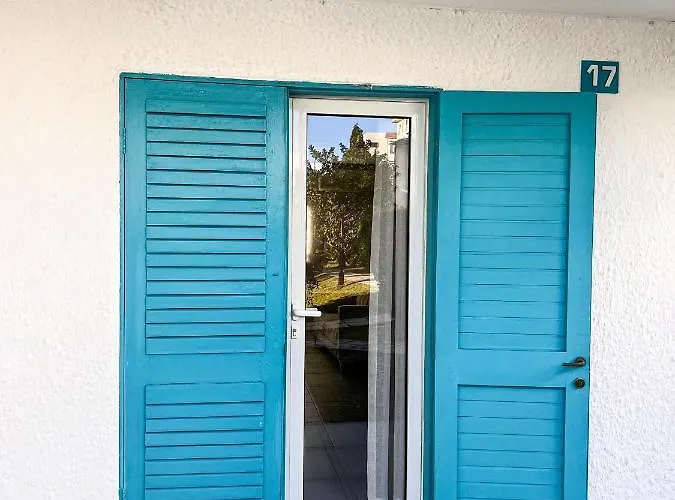 Bleu Des Zil